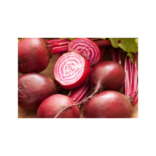 HEIRLOOM BABY BEETROOT, BUNCH