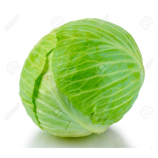 CABBAGE GREEN EACH