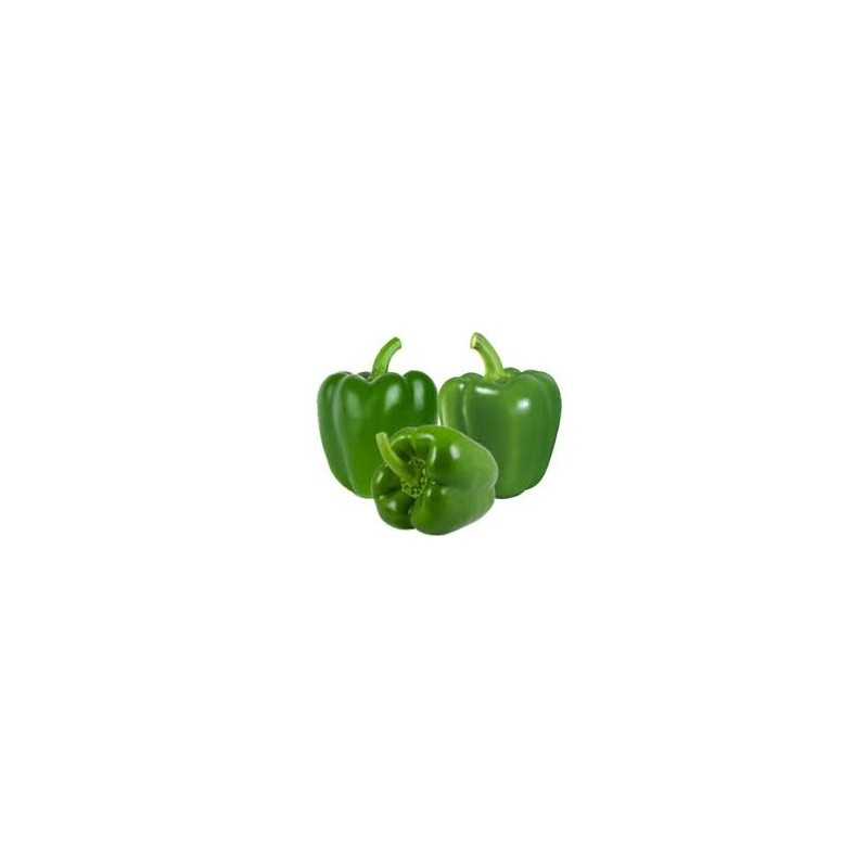 CAPSICUM GREEN PREPACK 2KG