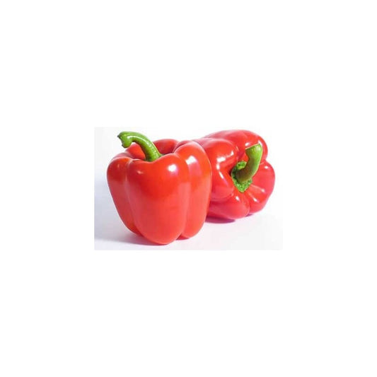 CAPSICUM RED 2KG PREPACK