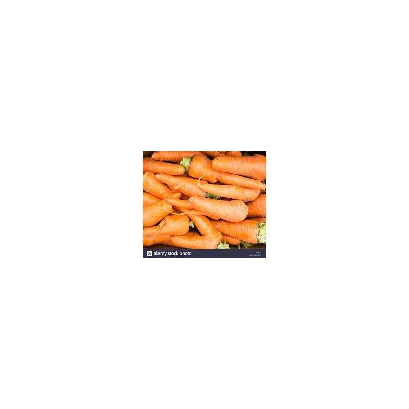 CARROTS LARGE, BOX 20KG