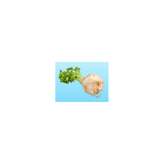 CELERIAC