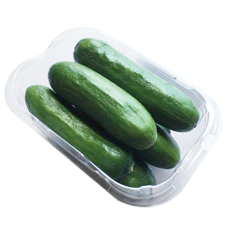 BABY CUCUMBERS, PUNNET