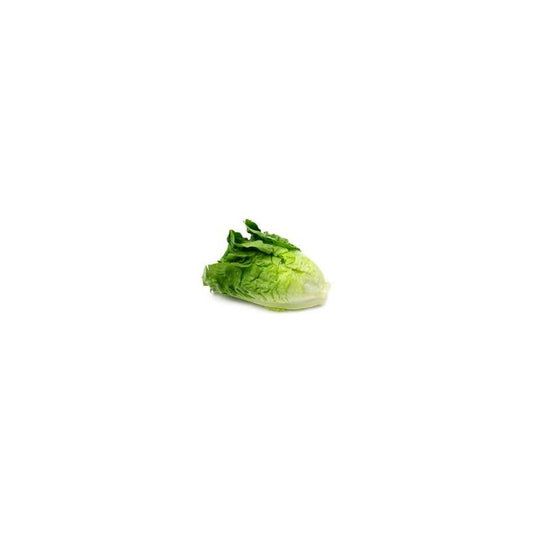 LETTUCE COS EACH