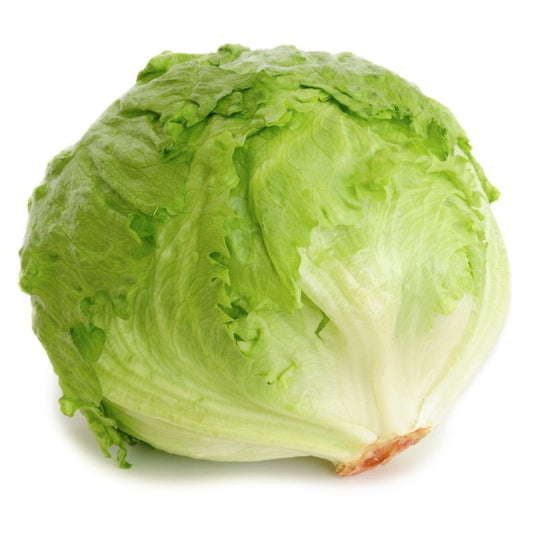 LETTUCE ICEBERG (EA)