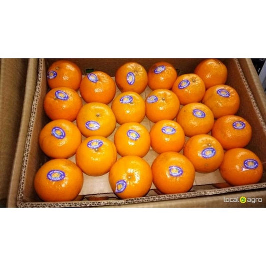 MANDARINS BOX  9KG