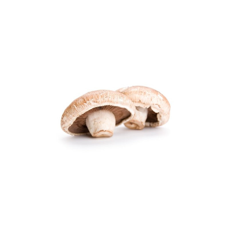 MUSHROOMS FIELD FLAT MEDIUM PER KG