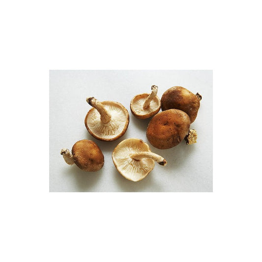 MUSHROOM SHIITAKE FRESH CHINESE, PUNNET 100GM