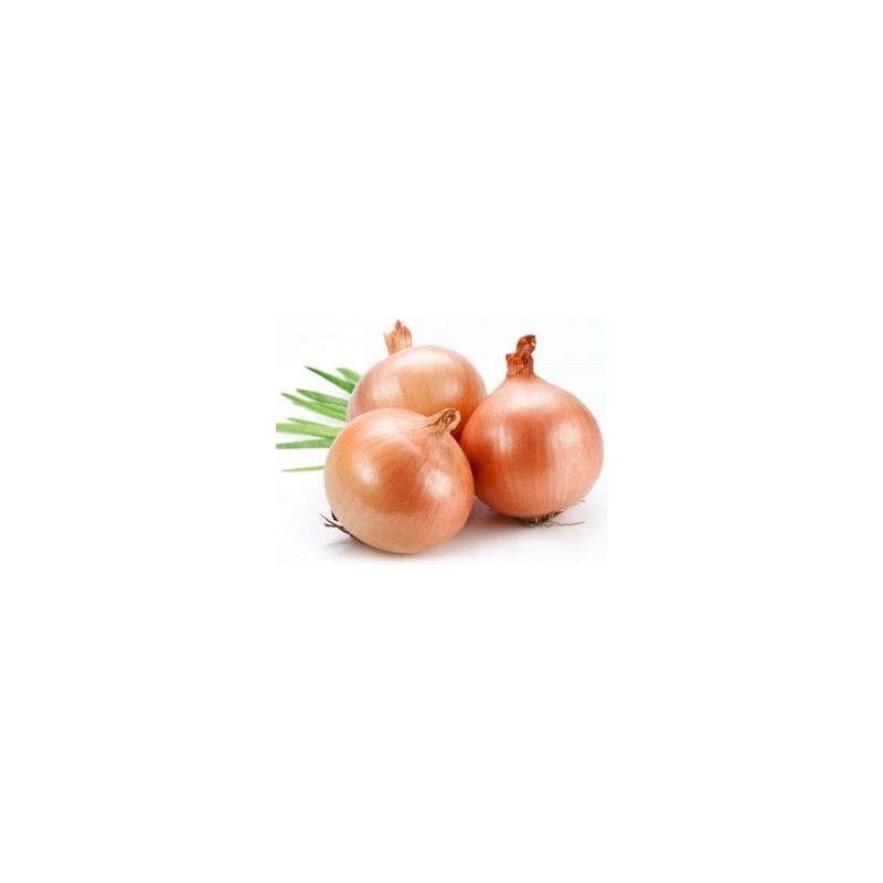 ONIONS BROWN  2KG PREPACK