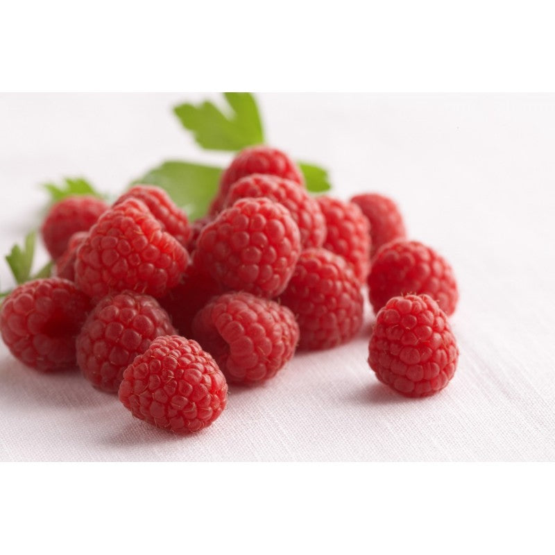 RASPBERRIES 125GM PUNNET