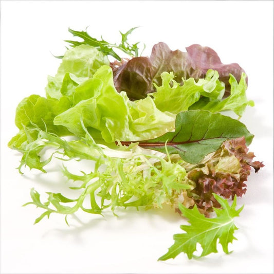 SALAD MIX PUNNET 100GM