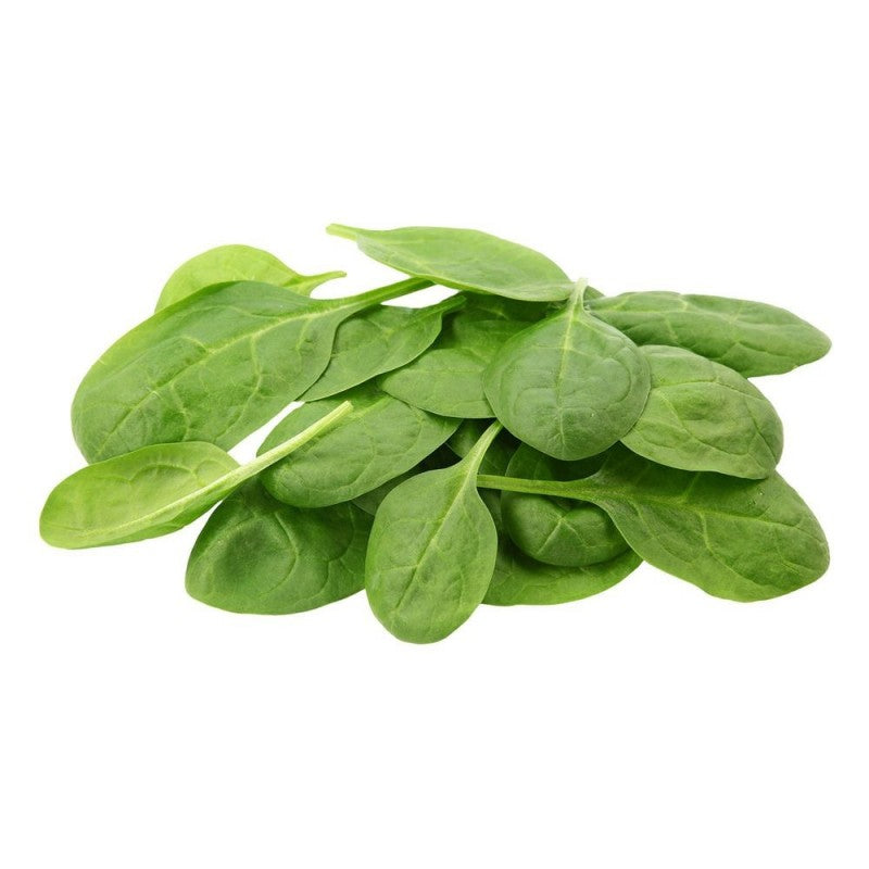 SALAD SPINACH BABY 100GM PUNNET