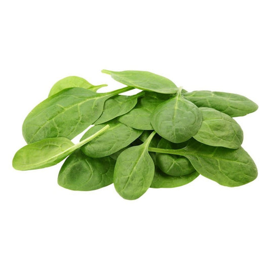 SALAD SPINACH BABY 1.5KG BOX