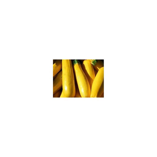 YELLOW COURGETTES, BOX 5KG